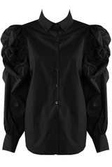 Ruched Pleated Sleeve Blouse