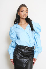 Ruched Pleated Sleeve Blouse