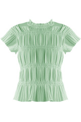 Ruched Pleat Short Sleeve Blouse