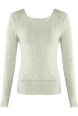 Delicate Sheer Lace Long Sleeve Top