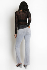 Delicate Sheer Lace Long Sleeve Top