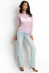 Delicate Sheer Lace Long Sleeve Top