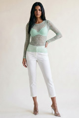 Delicate Sheer Lace Long Sleeve Top