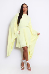 Pleated Wing Sleeves Tunic Dress