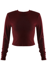 Crew Neck Long Sleeves Cropped Top