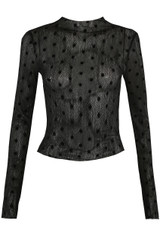 Polka Dot Mesh Long Sleeve Top