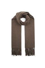 Soft Tassel Scarf