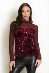 Mesh Sequin Long Sleeve Top