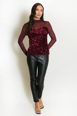 Mesh Sequin Long Sleeve Top
