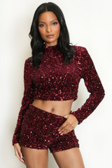 Sequin Long Sleeve Crop Top