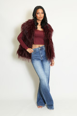 Shaggy Fur Gilet