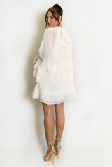 Chiffon Long Sleeve Ruffle Dress