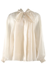Bow Neck Organza Blouse 