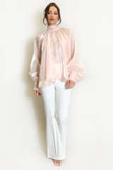 Bow Neck Organza Blouse 