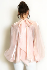 Bow Neck Organza Blouse 