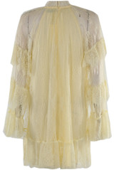 Lace Ruffle Sleeve Dress