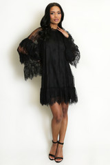 Lace Ruffle Sleeve Dress