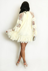Lace Ruffle Sleeve Dress