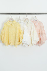 Lace Embroidered Sheer Blouse