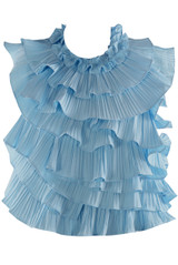 Pleated Ruffles Trim Blouse