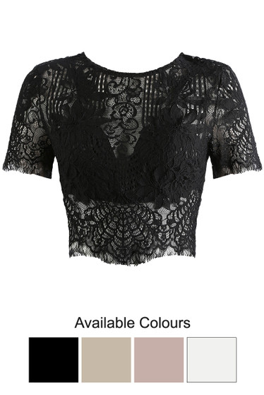 Crochet Lace Crop Tops - Buy Fashion 