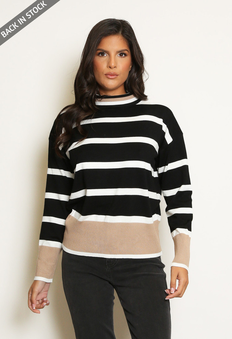 Roll Neck Striped Knitted Jumper