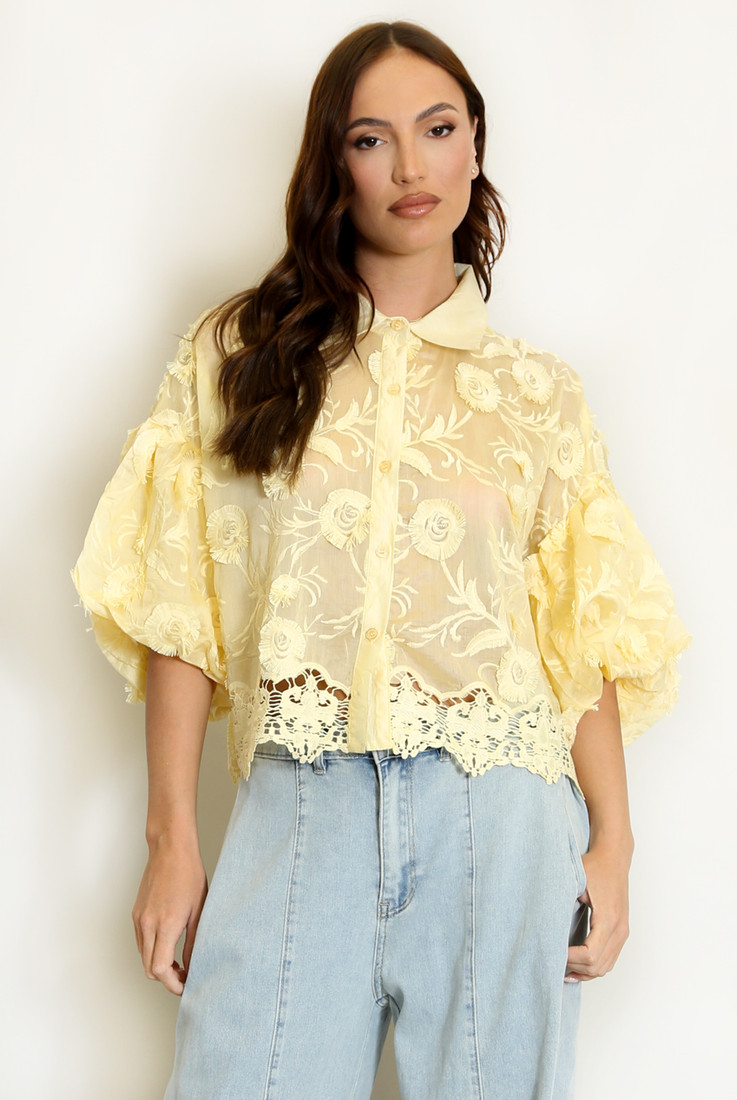 Lace Embroidered Puff Sleeve Blouse