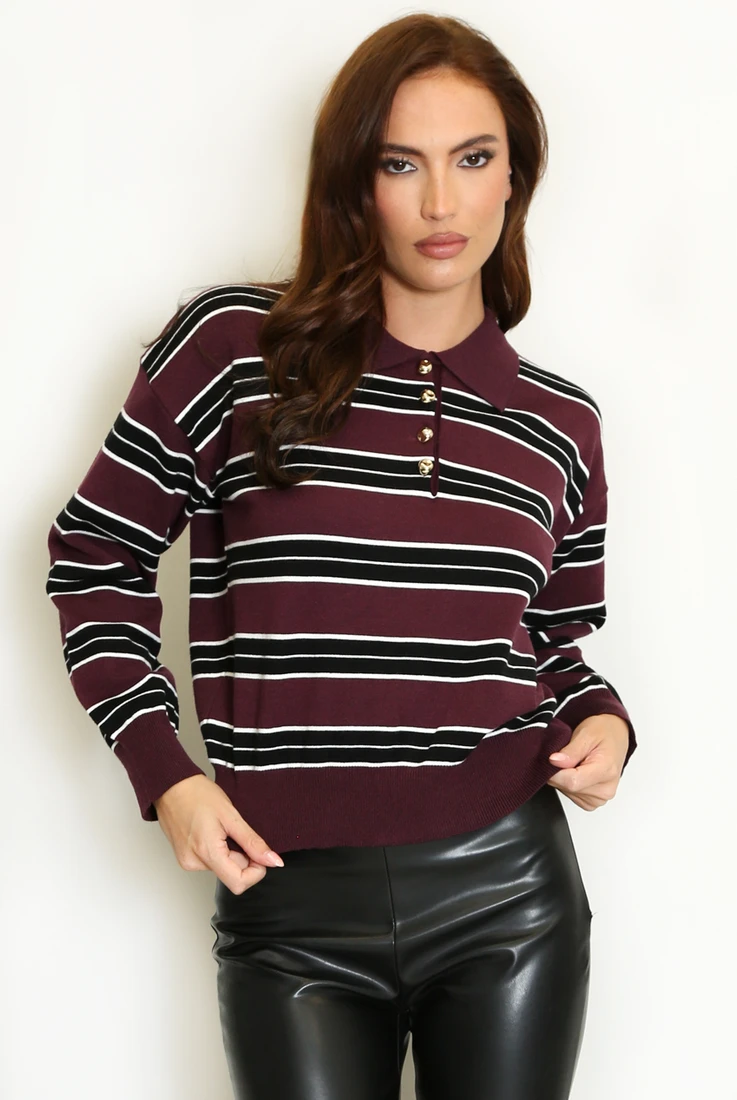 Stripes Full Sleeves Knit Polo Top