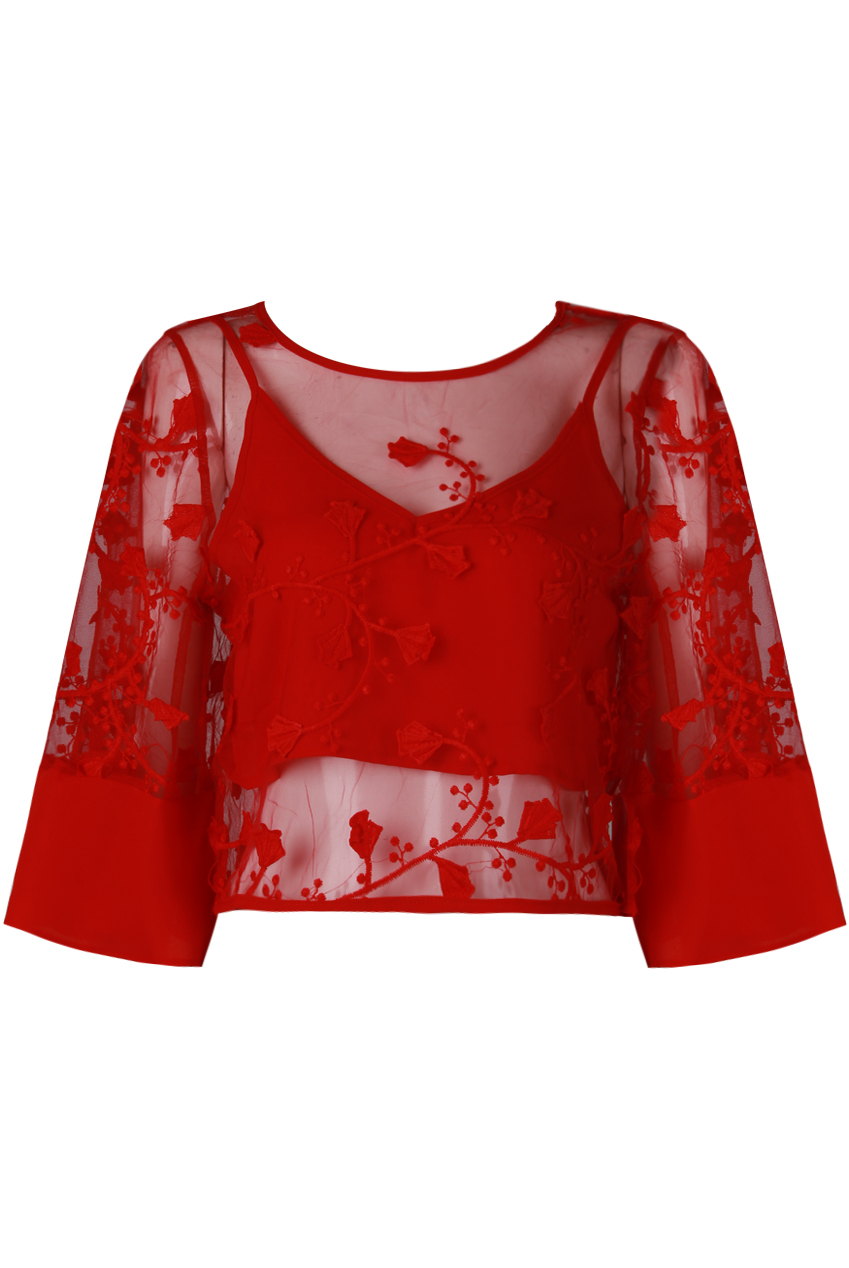 mesh overlay top