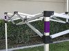 California King Palm Canopy Frame and Flame Retardant Top (Size:8'x12')