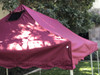 California Palm Four Seasons Canopy Frame and Flame Retardant Top (Size:10'x20')