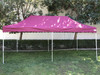 California King Palm Four Seasons Canopy Frame and Flame Retardant Top (Size:10'x20')