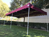 California King Palm Four Seasons Canopy Frame and Flame Retardant Top (Size:10'x20')