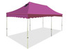 California King Palm Four Seasons Canopy Frame and Flame Retardant Top (Size:10'x20')