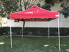 Queen Palm Four Seasons Canopy Frame and Top (Size:10'x10')