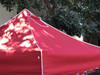 California Palm Four Seasons Canopy Frame and Top (Size:10'x10')