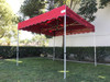 California Palm Four Seasons Canopy Frame and Top (Size:10'x10')