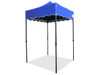 Queen Palm Canopy Frame and Top (Size:5'x5')