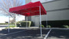 Princess Palm Canopy Frame and Top (Size:10'x10')