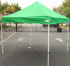 Princess Palm Canopy Frame and Top (Size:10'x10')