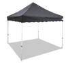 Royal Palm Canopy Frame and Top (Size:10'x10')