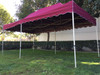 Queen Palm Canopy Frame and Top (Size:10'x20')