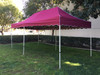 Queen Palm Canopy Frame and Top (Size:10'x20')