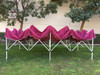 Queen Palm Canopy Frame and Top (Size:10'x20')