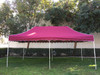 Queen Palm Canopy Frame and Flame Retardant Top (Size:10'x20')