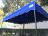Queen Palm Canopy Frame and Flame Retardant Top (Size:8'x12')