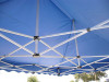 Royal Palm Canopy Frame and Flame Retardant Top (Size:10'x15')