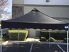 Princess Palm Four Seasons Canopy Frame and Flame Retardant Top (Size:10'x10')