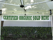 Banner  Certified Organic Sold Here Banner - Special Custom Order Call for Price