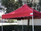 California King Palm Four Seasons Canopy Frame and Flame Retardant Top (Size:10'x10')